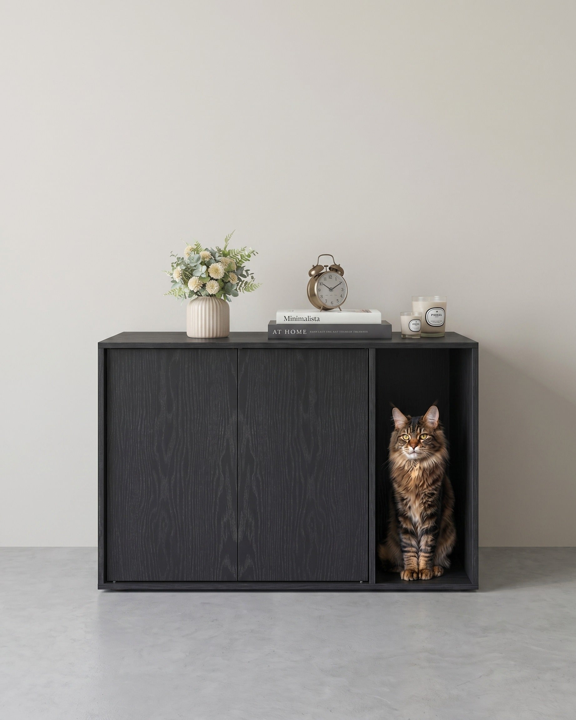 Kattenbak Kast met Push-to-Open Deuren - Kattenhuis